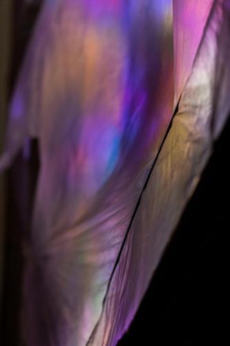024 DSC00387 web